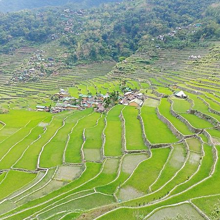 Banaue Transient House Bed And Breakfast Экстерьер фото